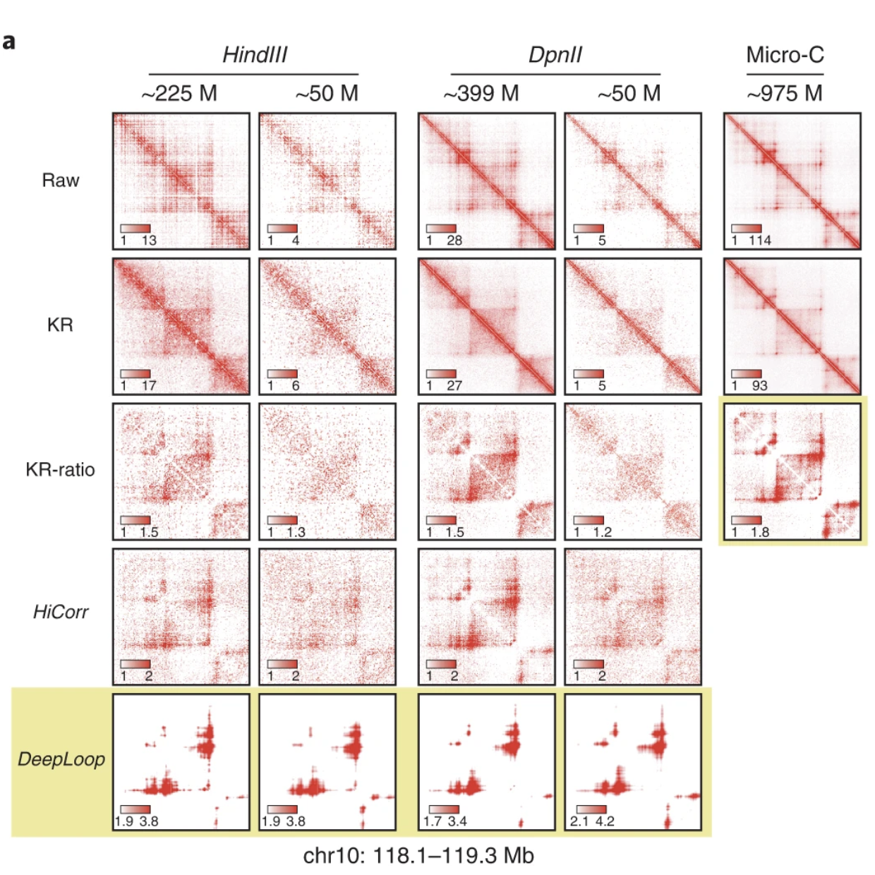 3D Genome Architecture