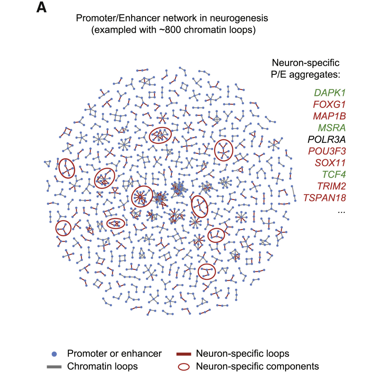 Computational and Systems Biology