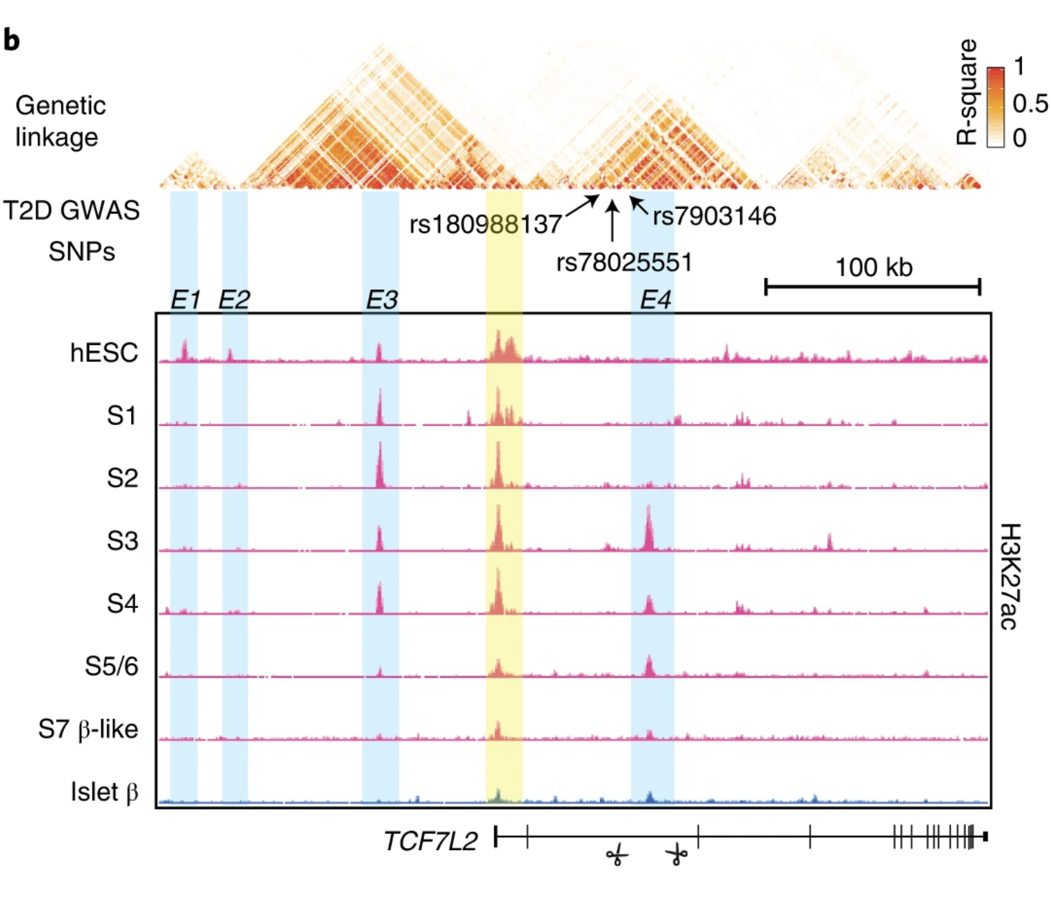 Epigenetics and Epigenomics